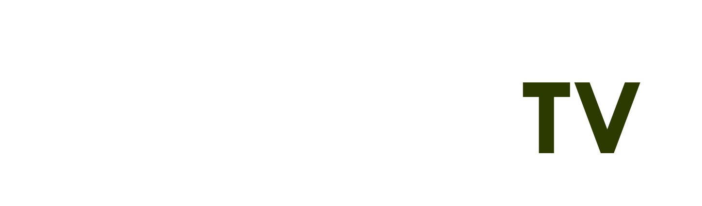 12 nữ thần